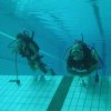 Zwembadtraining